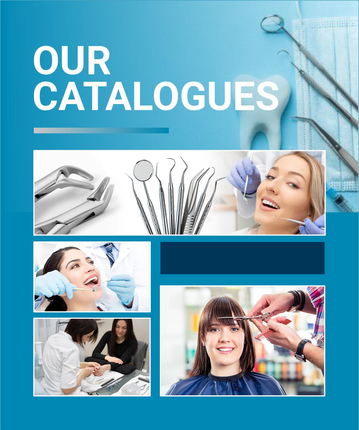 OUR CATALOGUES